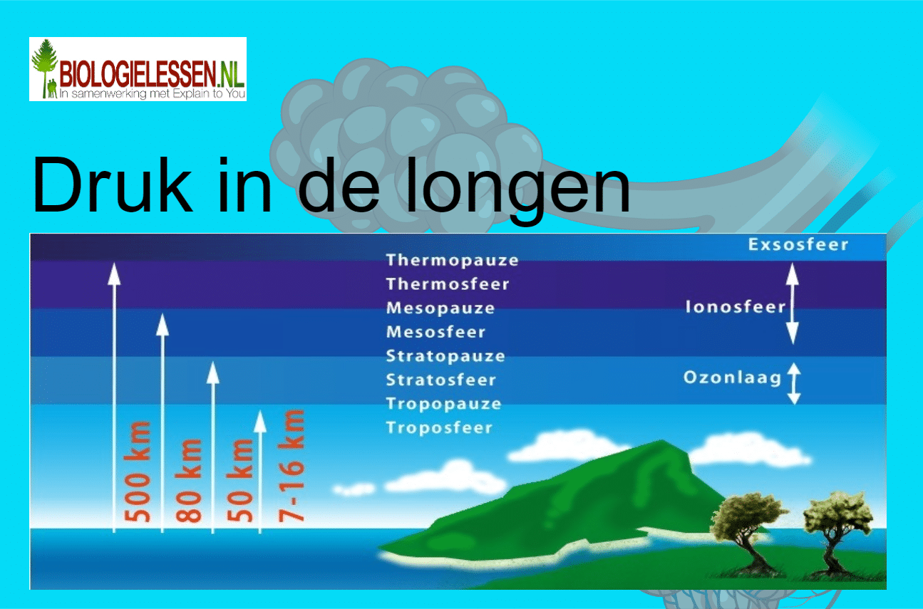 Druk in de longen - Biologielessen.nl