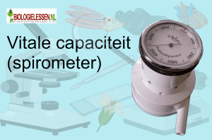 Vitale capaciteit spirometer vaardigheden