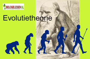 Evolutietheorie OB