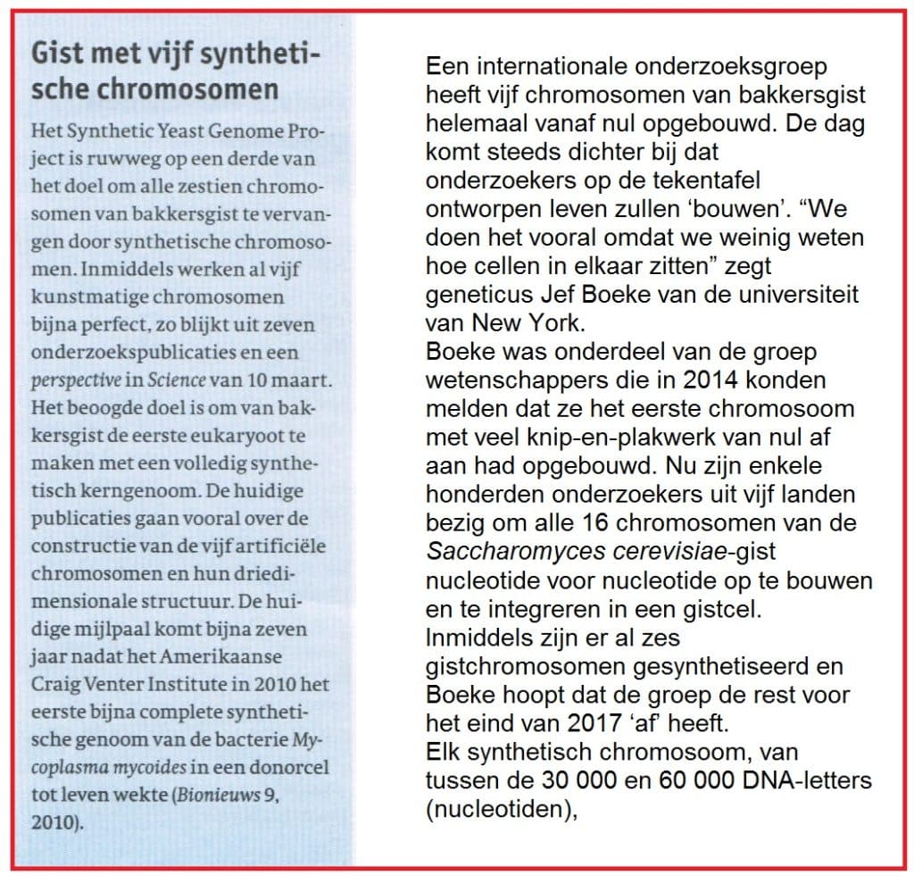 Gistmet5synthetischechromosomen