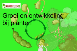 Groei en ontwikkeling bij planten mavo