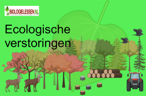 Ecologische verstoringen