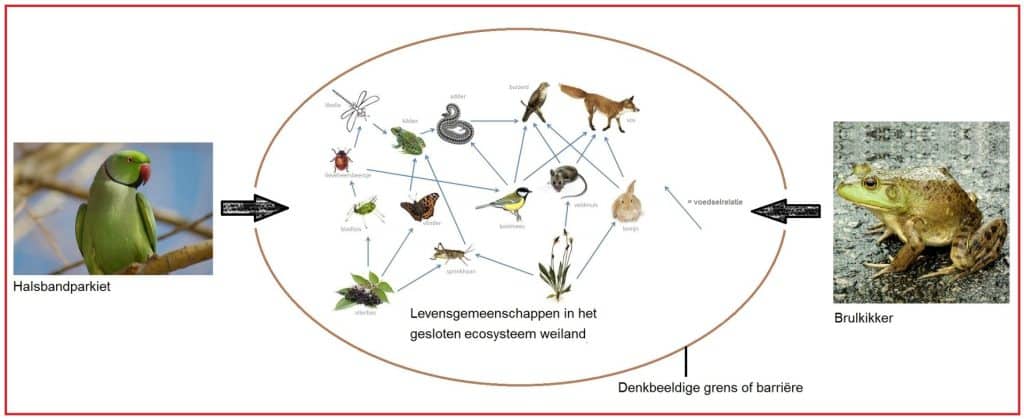 Ecologische verstoringen