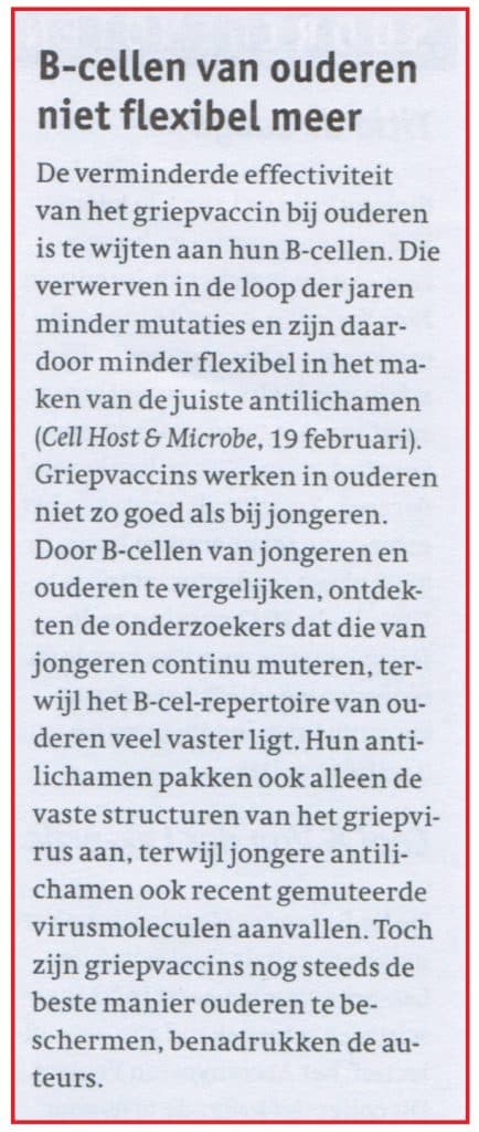 B cellen van ouderen niet flexibel meer