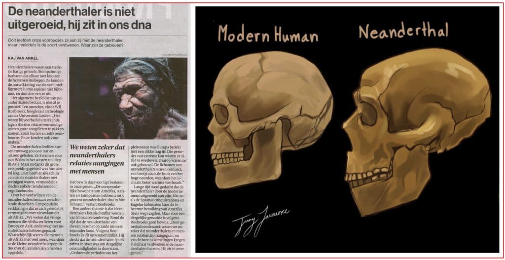 De Neanderthalers is niet uitgeroeid, hij zit in ons DNA 1 De Neanderthaler is niet uitgeroeid hij zit in ons DNA