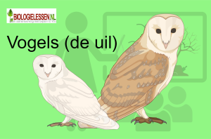 Vogels natuurlessen