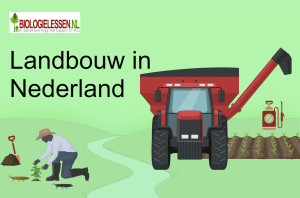 Landbouw vroeger en nu mavo