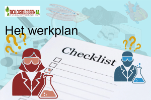 Het werkplan vaardigheden