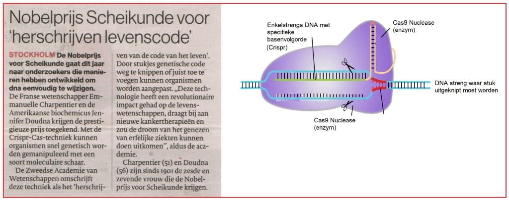 Nobelprijs Scheikunde voor "herschrijven levenscode" 13 Nobelprijs Scheikunde