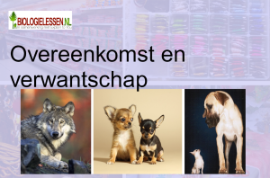 Overeenkomst en verwantschap OB