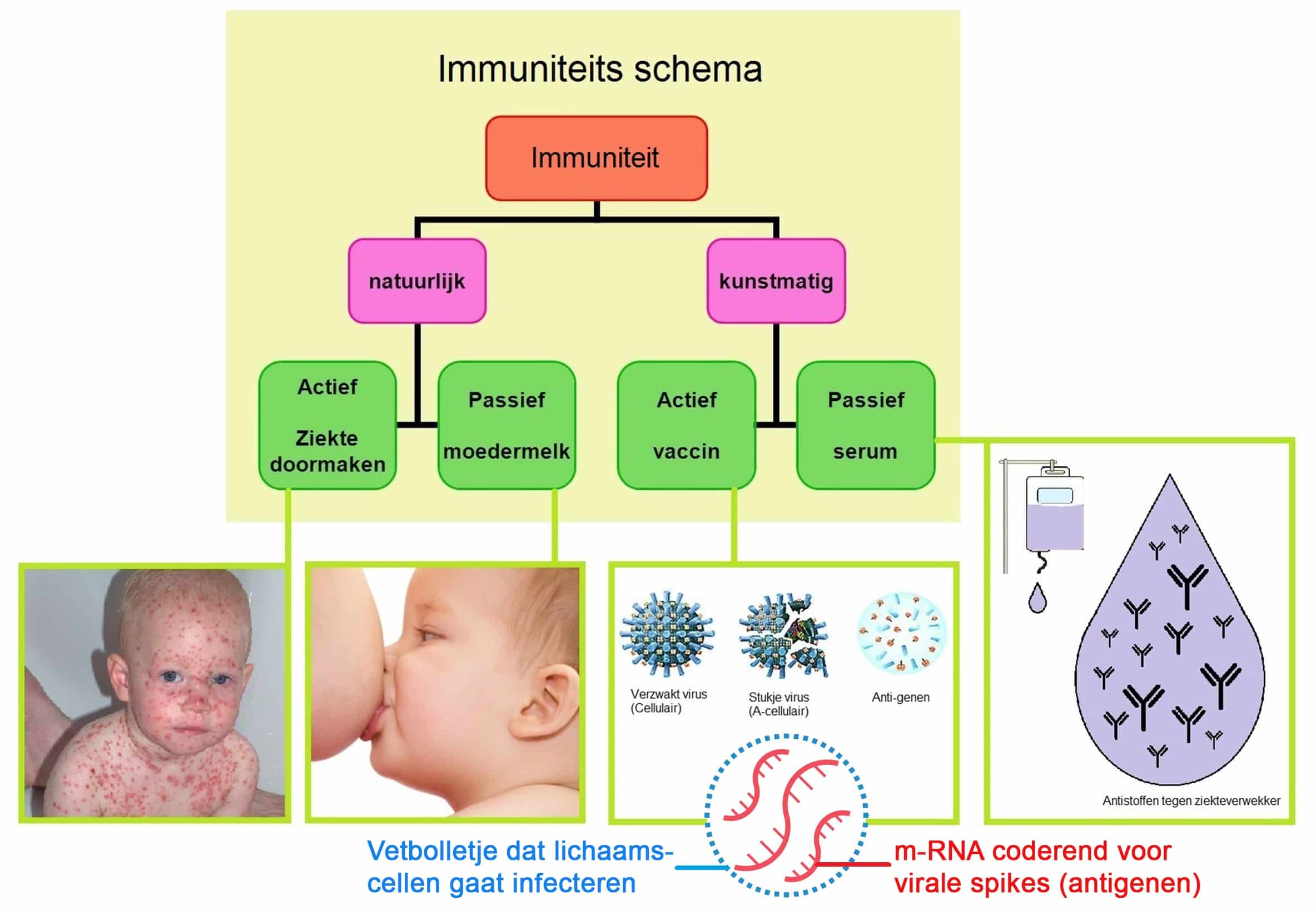 immuniteit