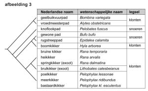 paddentrek 2