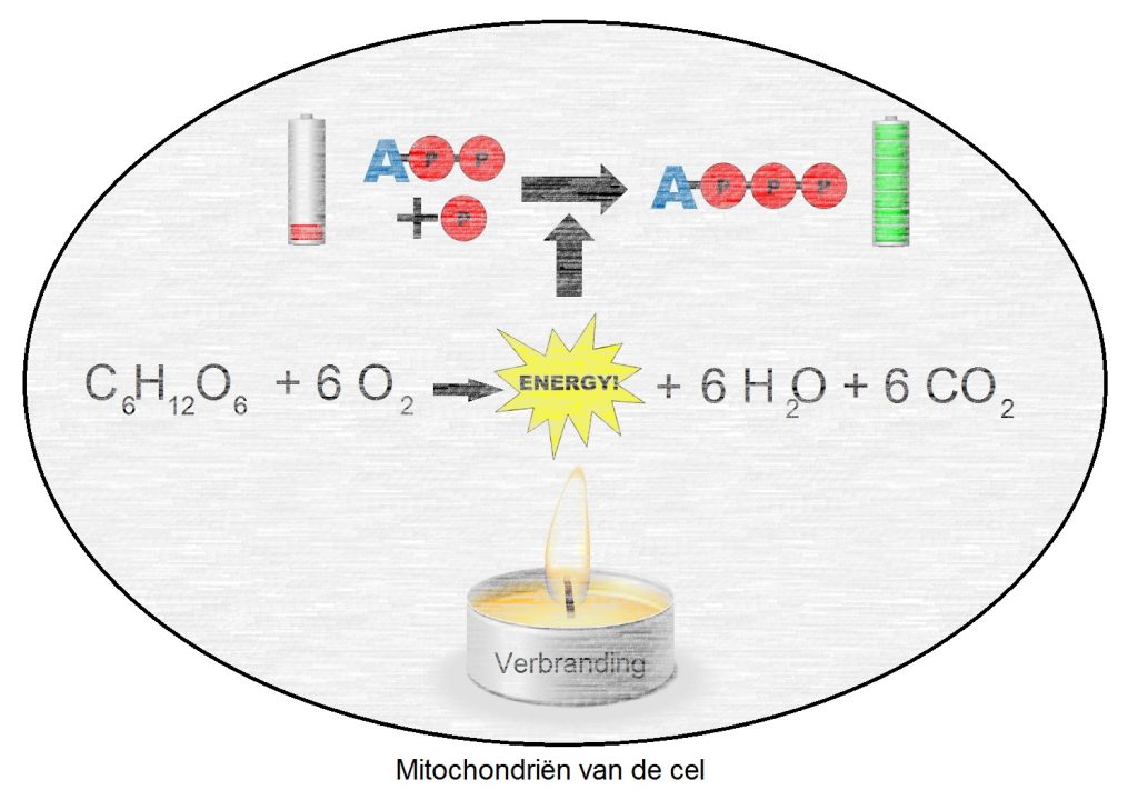 ATP2