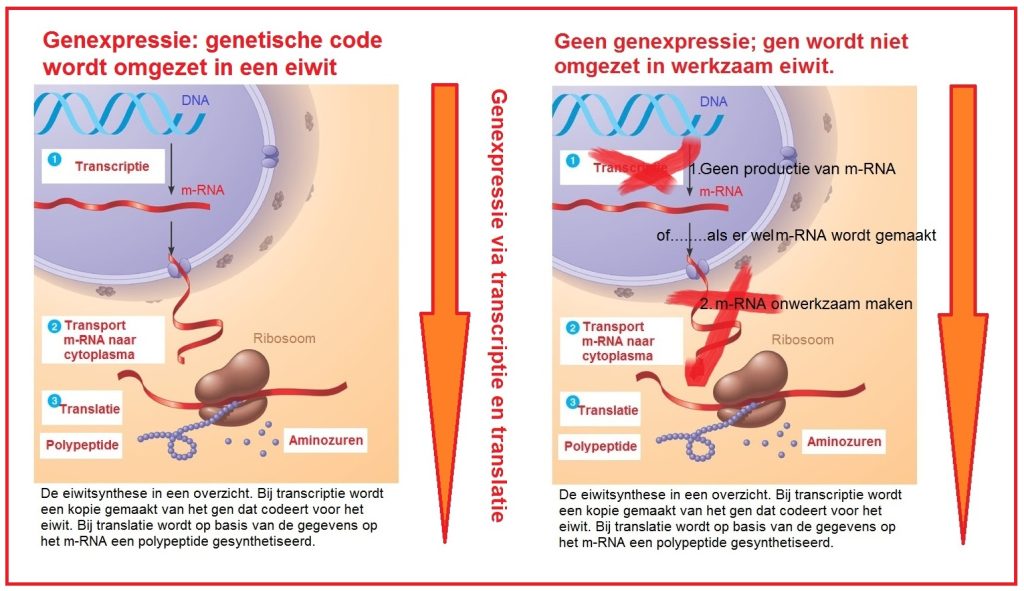 Allesystemenbijelkaargenrepressie2