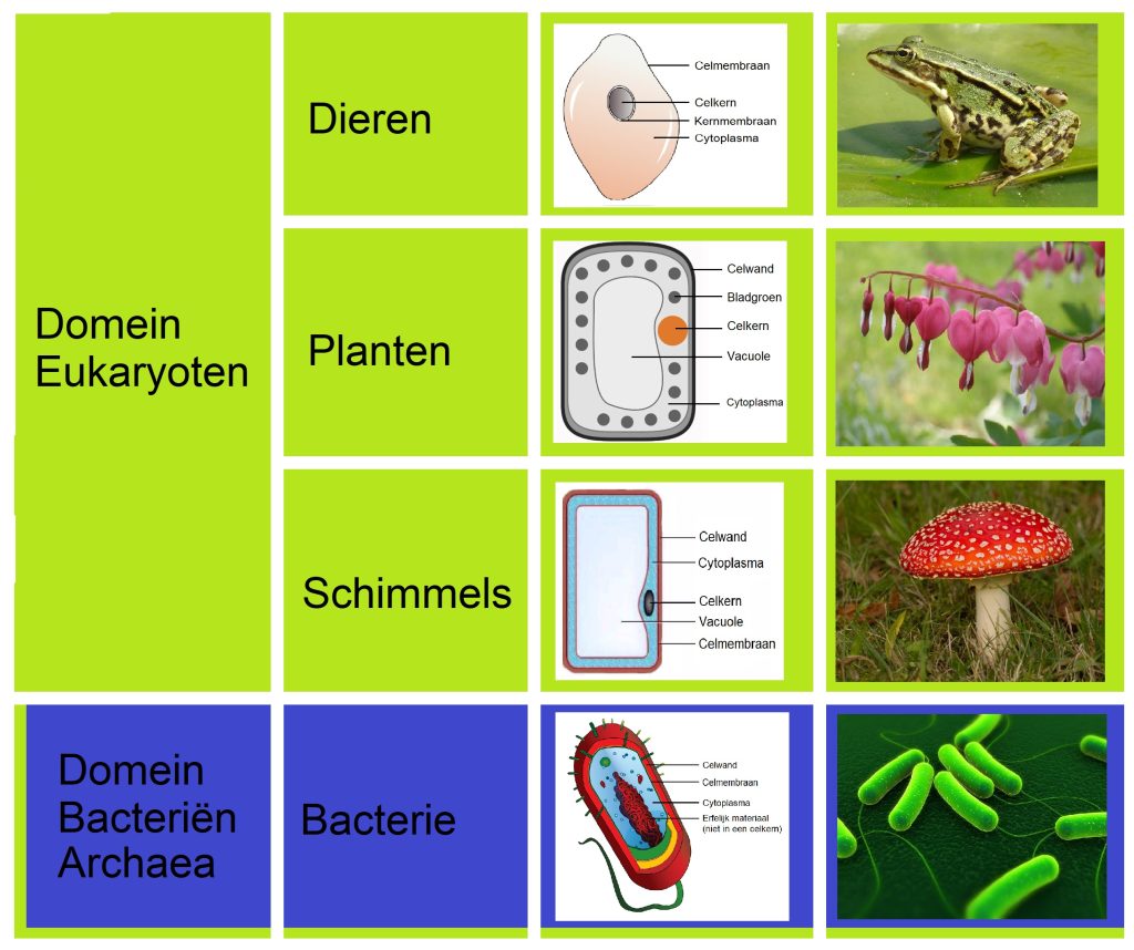 Domeinen en rijken en eigenschappen 2