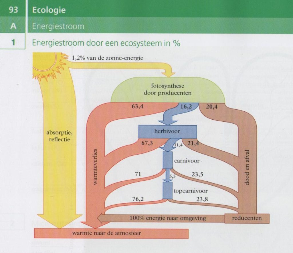 EnergiestromenvolgensBiNaS