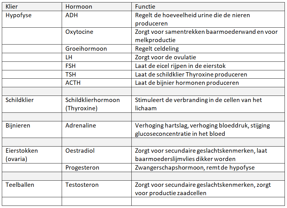 Klieren en hun hormonen 2