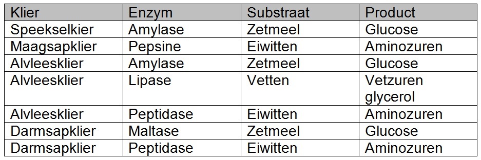 Klieren enzymen en de producten