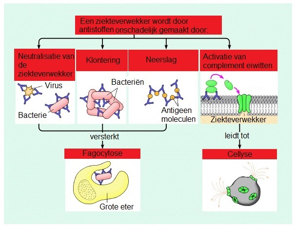 Systeem 1