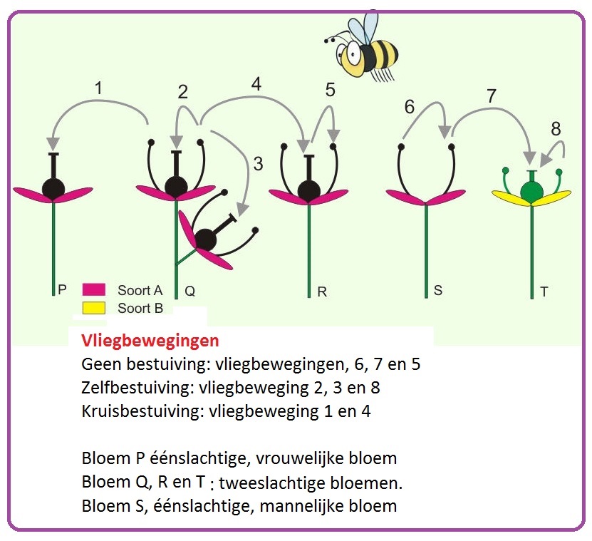 Vliegbewegingenenhungevolgen