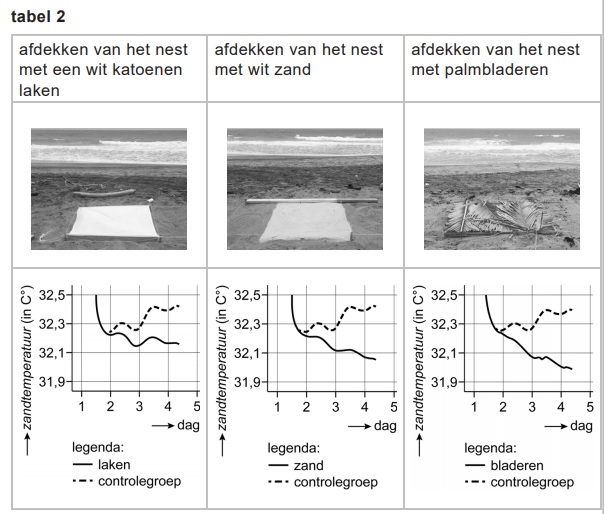 rekenen met schildpadden