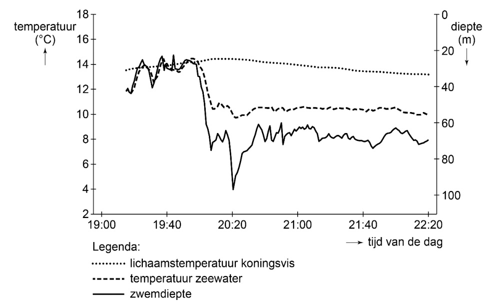 renenen met vis