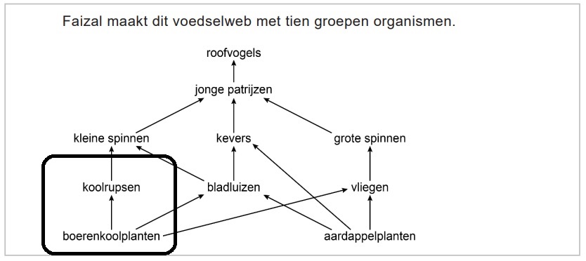 voedselwebBKP