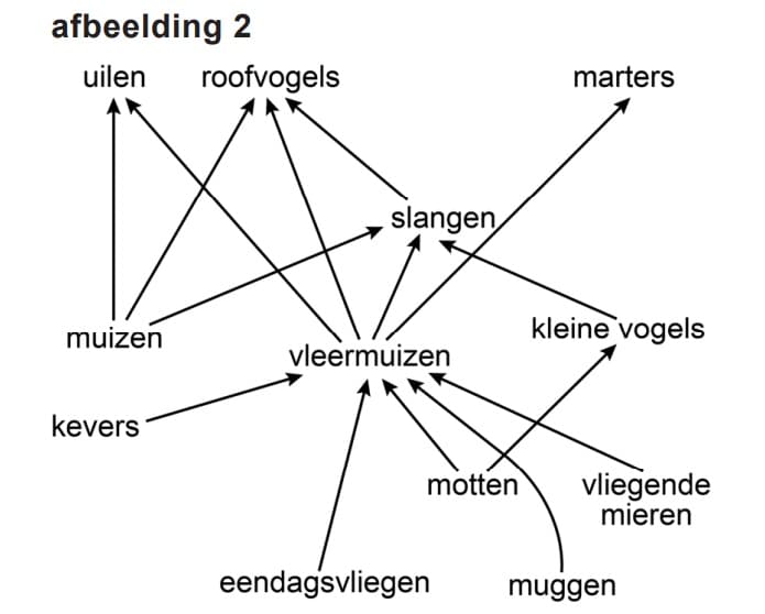 voedselwebvm