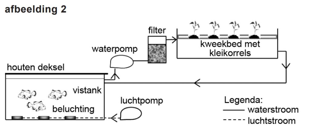 aquaponics2