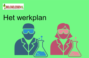 Het werkplan