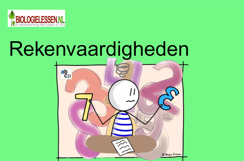 Rekenvaardigheden