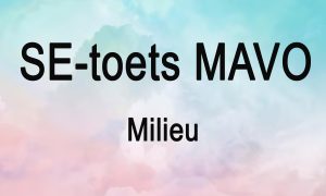 SE toets 4 mavo Milieu