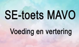 SE toets 4 mavo voeding en vertering