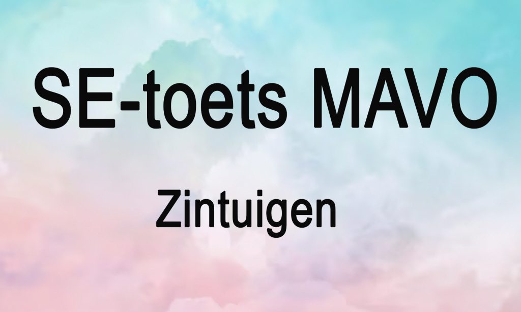 SE toets 4 mavo zintuigen