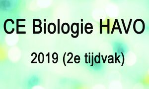 CE biologie havo 2019 2e tijdvak 1