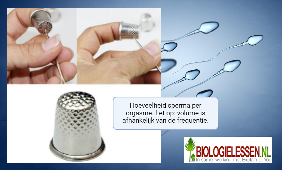 Hoeveelheid sperma