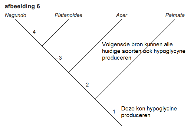 asdoornevo2