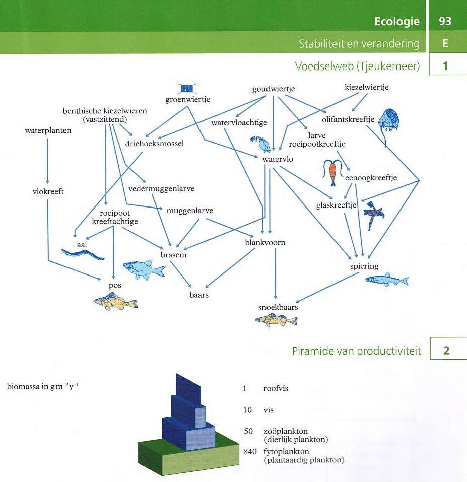 BiNaS 93E piramide van productiviteit