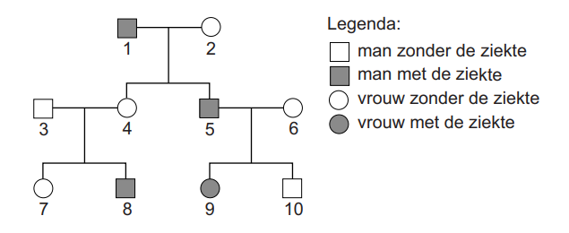 Stambomen families 2