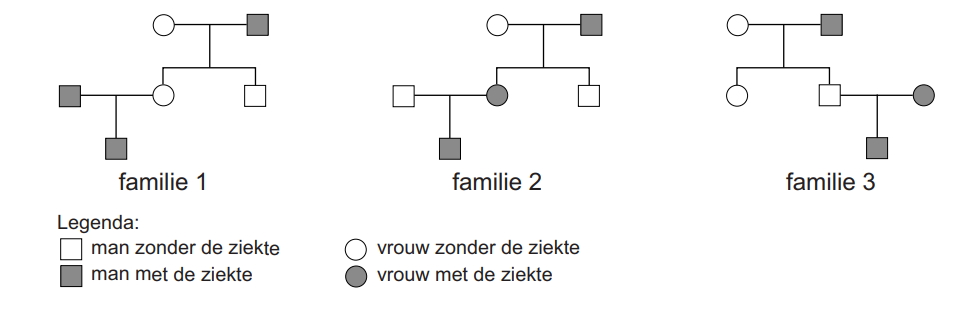 Stambomen fmilies