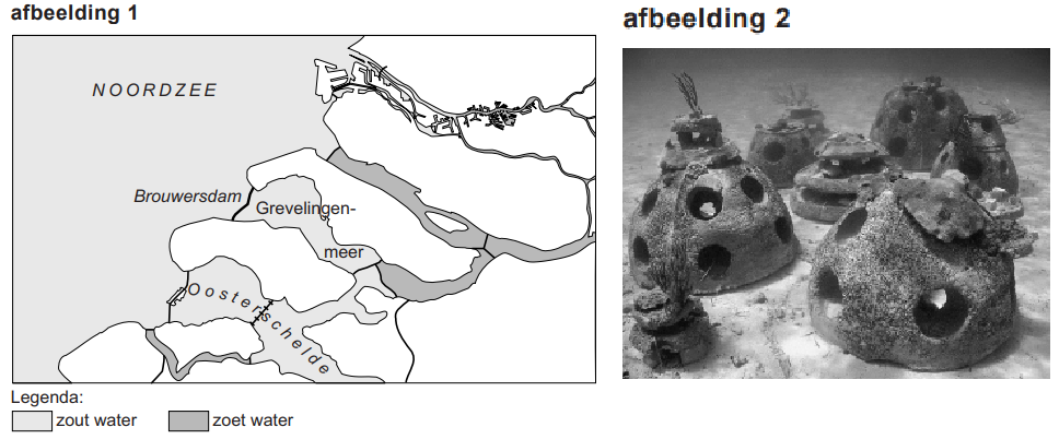 rifbollen