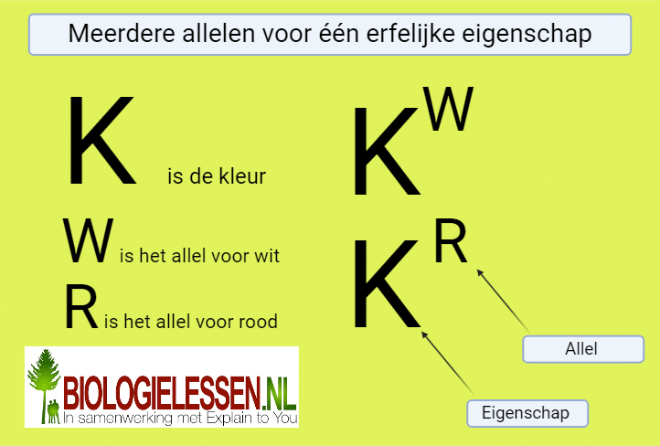 Genotype van meerdere allelen