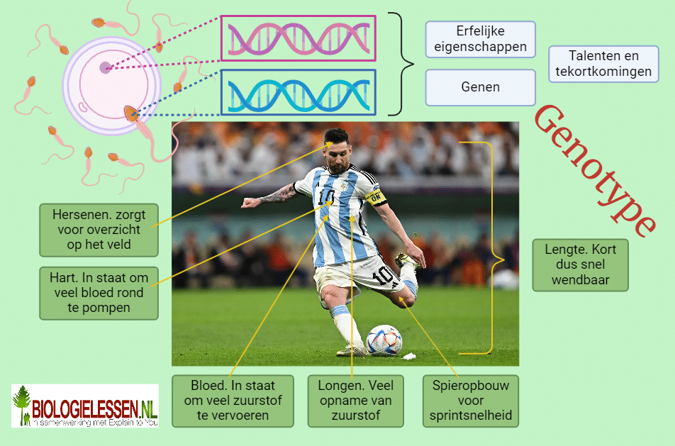 Genotype