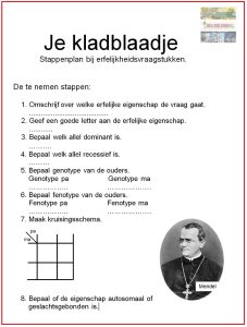 Kladblaadje