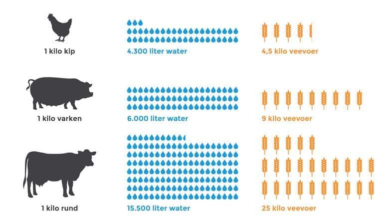 nudge voer en water per kilo vlees 0