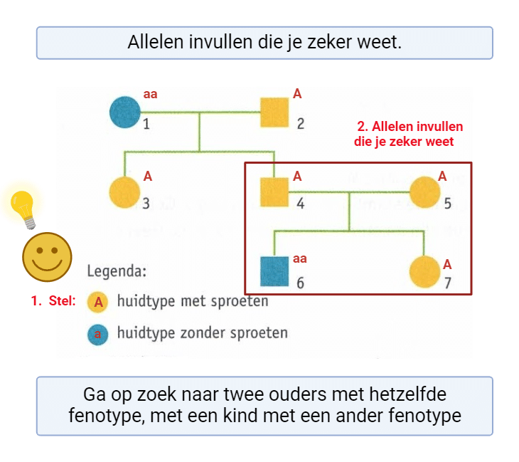 Toepassen eerste regel