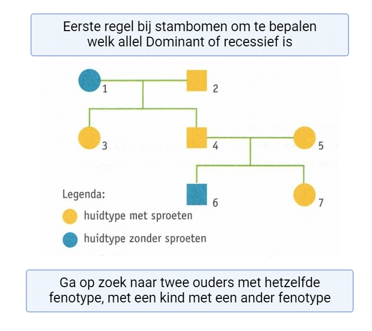 eerste regel