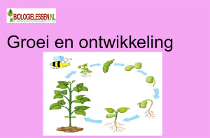 Groei en ontwikkeling OB 2