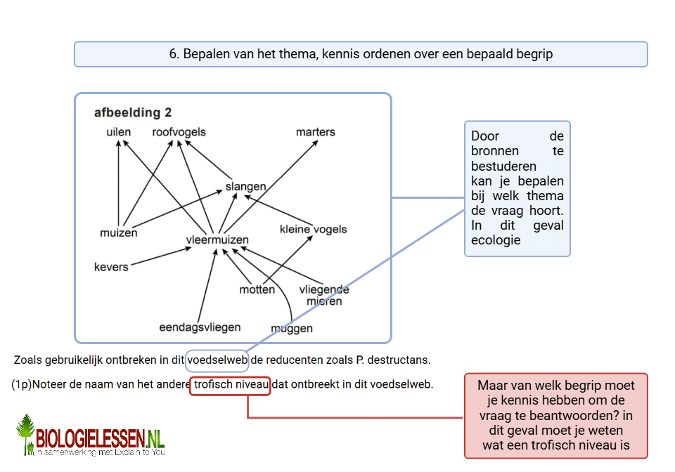 Leerstof en begrippen herkennen