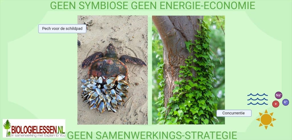 Geen Symbiose